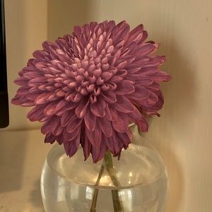 Meet your Posher, Liz